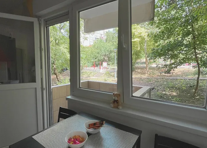 Sasha 2 * بلغراد